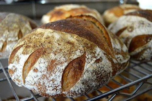 Freshly baked artisanal bread loaves cooling on a wire rack, showcasing a crusty exterior and scored top.