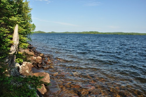 A serene lakeside view with clear water, rocky shore, and lush greenery under a blue sky.