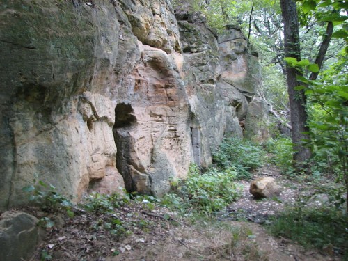 A rocky cliff with carved markings, surrounded by greenery and trees in a natural setting.
