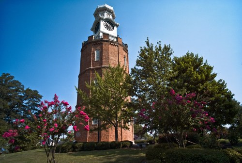 A tall brick clock tower surrounded by green trees and vibrant pink flowers under a clear blue sky.
