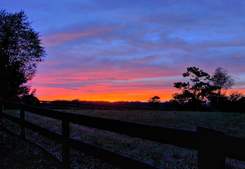 A vibrant sunset paints the sky in shades of pink and orange, silhouetting trees and a wooden fence in the foreground.