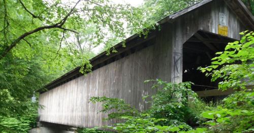 A wooden covered bridge surrounded by lush green trees and foliage.