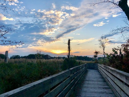 A wooden boardwalk leads through tall grass under a colorful sunset with scattered clouds in the sky.