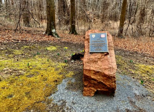 A stone monument with a plaque stands in a wooded area, surrounded by bare trees and patches of green moss.