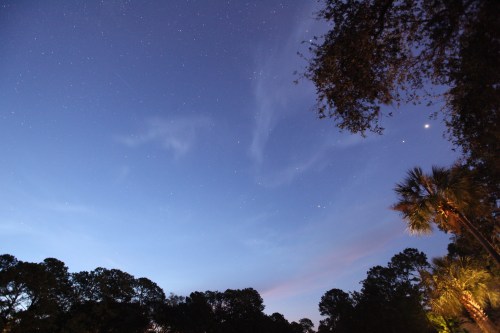 A twilight sky filled with stars, wispy clouds, and silhouetted trees, with a hint of light from a nearby palm.