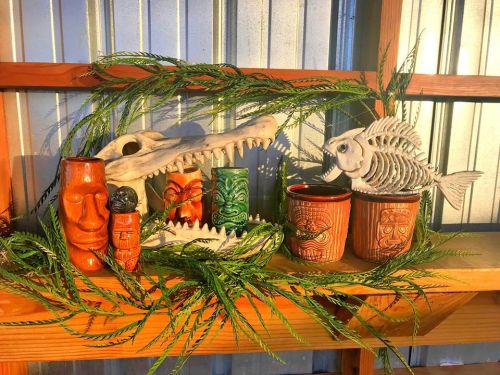 A display of colorful tiki mugs, a crocodile skull, and a fish skeleton, surrounded by green foliage on a wooden shelf.