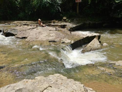 A person sits on a rocky riverbank, with water flowing over rocks in a lush, green forested area.