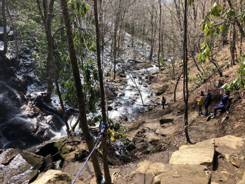 A serene forest scene with a flowing stream, rocky terrain, and a few people sitting near the water.