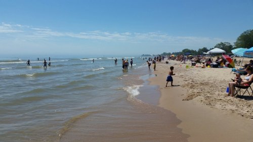 A sunny beach scene with people swimming, playing, and relaxing on the sand under blue skies and scattered umbrellas.