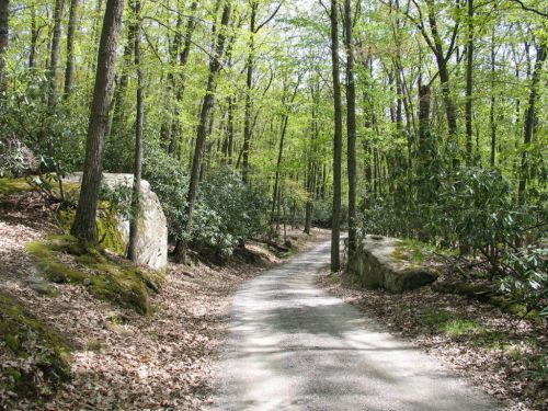 A winding dirt path through a lush green forest, flanked by large rocks and trees with fresh spring leaves.
