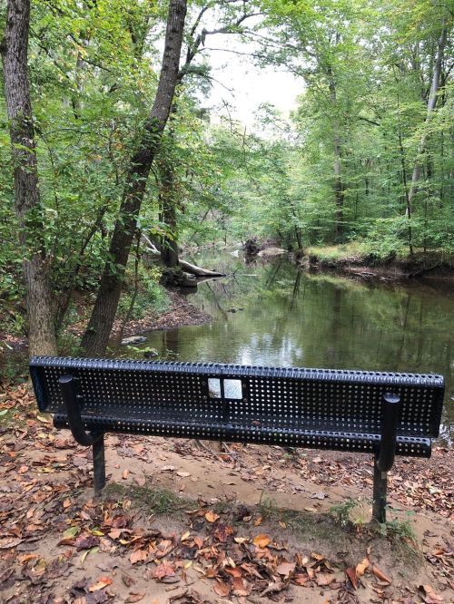 A black bench facing a calm, reflective stream surrounded by lush green trees and fallen leaves.