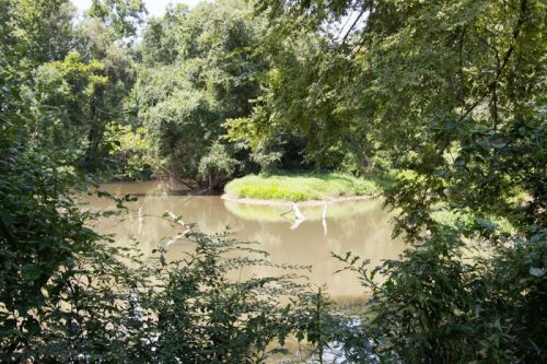 A serene river scene surrounded by lush greenery and trees, with a small island in the water.