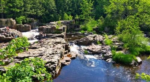 A scenic view of a rocky river landscape with flowing water, surrounded by lush greenery and trees.