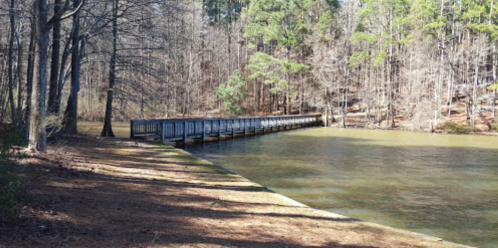 A wooden pier extends into a calm lake, surrounded by trees and a serene natural landscape.