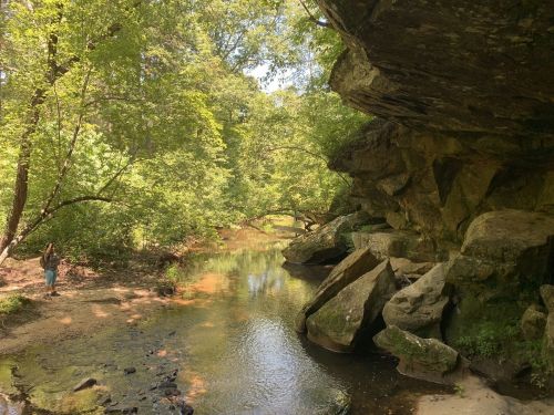 A serene creek flows through a lush green forest, with large rocks and a person standing by the water's edge.