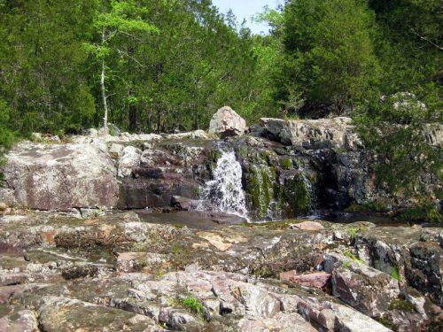 A small waterfall cascades over rocky terrain, surrounded by lush green trees and foliage.