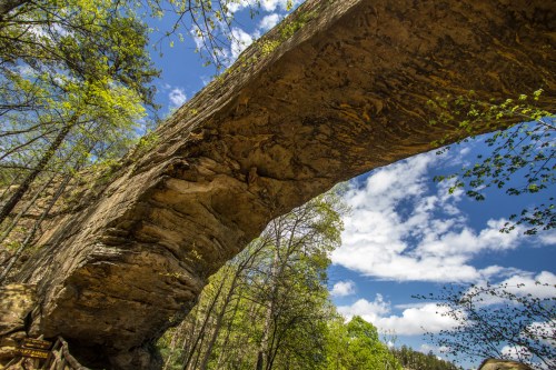 A natural stone arch bridge surrounded by lush greenery and a blue sky with fluffy clouds.