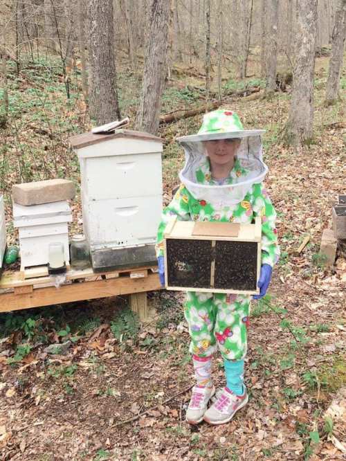 A child in a colorful bee suit holds a box of bees near beehives in a wooded area.