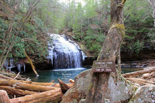 A serene waterfall surrounded by trees, with a sign reading "Stinging Fork Falls - End of Trail" in the foreground.
