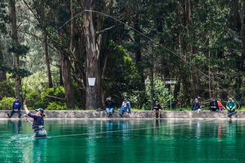 A person fishing in a serene pond, with spectators sitting along the shore in a lush, green forest setting.