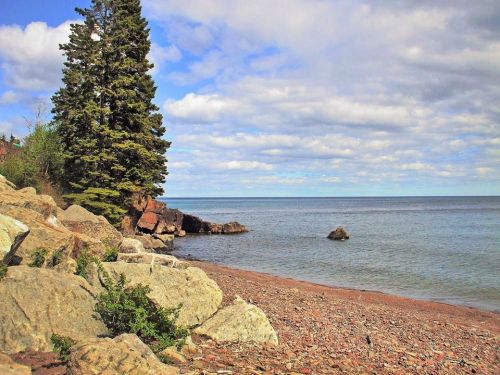 A serene beach scene with smooth stones, a lone tree, and calm waters under a partly cloudy sky.
