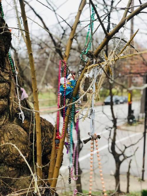 Colorful beads and religious items hang from a bare tree branch, with a street visible in the background.