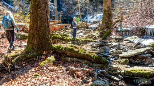 Two hikers explore a rocky, moss-covered stream bed surrounded by trees and a waterfall in a serene forest setting.