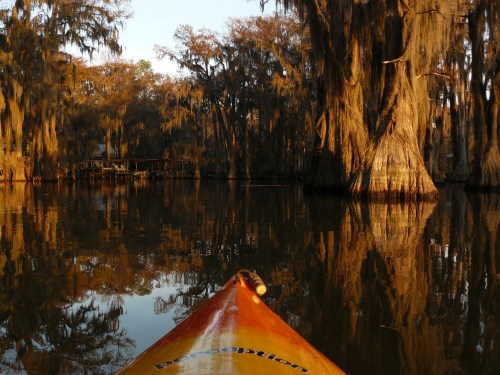 A kayak glides through a serene, moss-draped swamp at sunset, reflecting golden hues on the calm water.
