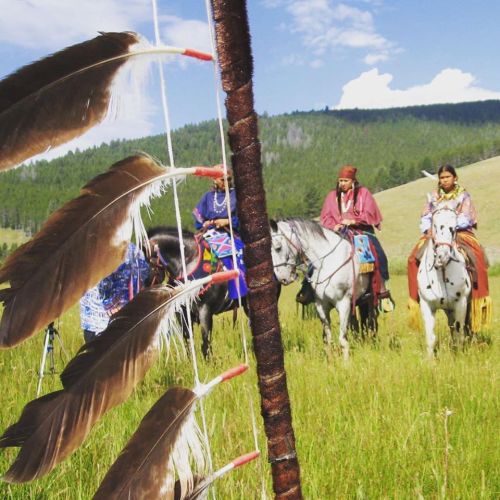 Two individuals on horseback in a grassy field, with feathers and a blue sky in the foreground.