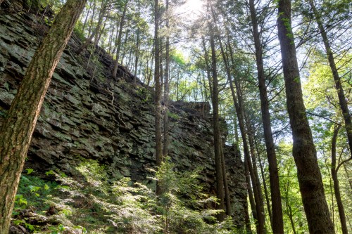 Sunlight filters through tall trees, illuminating a rocky cliffside in a lush green forest.