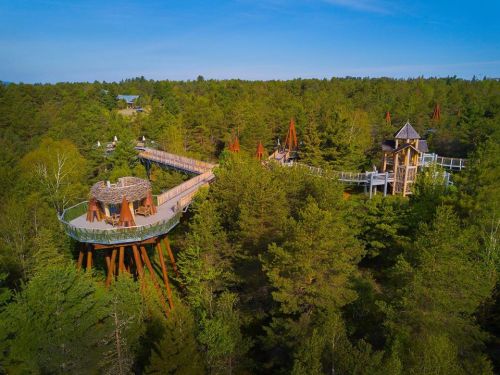 Aerial view of a tree-top walkway and lookout tower surrounded by lush green forest.