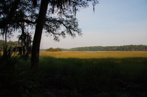 A serene landscape featuring tall grasses and trees by a calm waterway under a clear blue sky.