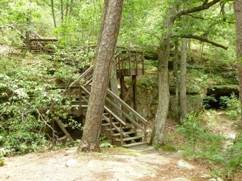 Wooden stairs lead up through a lush green forest, surrounded by trees and rocky terrain.