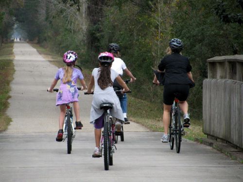 Four children and an adult ride bicycles along a tree-lined path, enjoying a sunny day outdoors.