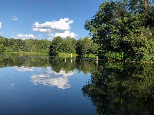 A serene lake reflecting blue skies and fluffy clouds, surrounded by lush greenery and trees.