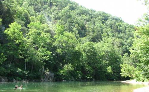 A serene river surrounded by lush green trees and a hillside under a clear blue sky, with two people swimming.