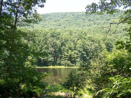 A serene lake surrounded by lush green trees and a distant forested hill under a clear blue sky.