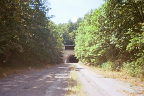 A dirt road leads to a dark tunnel, surrounded by dense green trees and sunlight filtering through the foliage.
