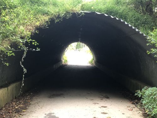 A dark tunnel with a curved metal structure, leading to a bright light at the far end, surrounded by greenery.