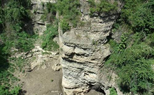 A tall, rocky cliff surrounded by lush greenery and a dry, rocky area at the base.