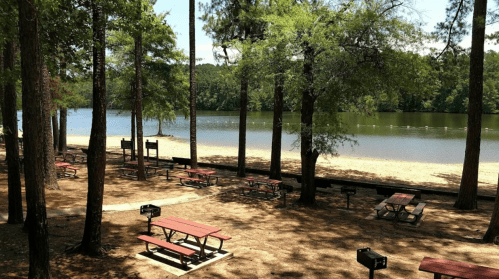 A serene lakeside scene with picnic tables and grills surrounded by trees, featuring a sandy beach and calm water.
