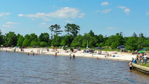 A sunny beach scene with people swimming, sunbathing, and enjoying the water, surrounded by trees and blue skies.