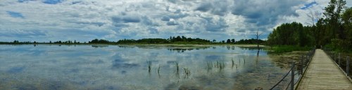 A serene landscape featuring a calm lake, lush greenery, and a wooden walkway under a cloudy sky.