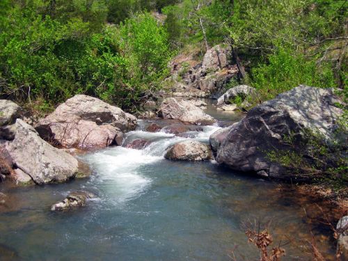 A serene stream flows over rocks, surrounded by lush greenery and trees in a peaceful natural setting.