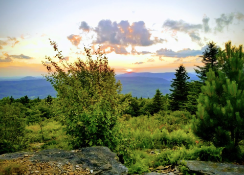 A scenic view of a sunset over mountains, framed by trees and lush greenery.