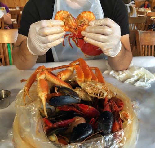 A person wearing gloves holds shrimp above a large bowl of assorted seafood, including crabs and mussels.