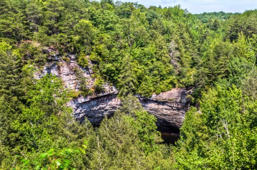A lush green forest surrounds a rocky cliff with a natural arch, creating a scenic landscape under a clear blue sky.