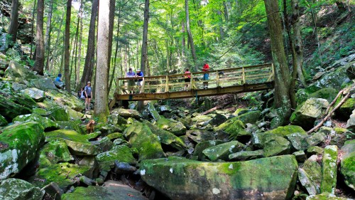 A wooden bridge spans a rocky creek in a lush green forest, with hikers exploring the area around it.