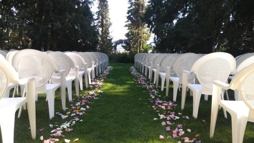 A garden wedding setup with white chairs arranged in rows, flanking a grassy aisle decorated with flower petals.