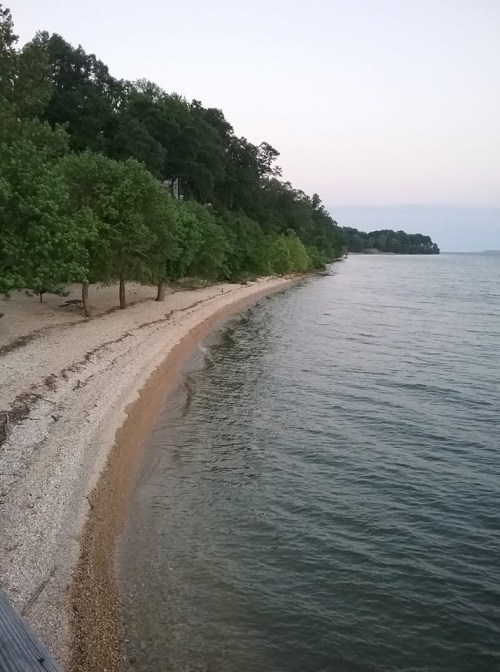 A serene shoreline with a sandy beach, surrounded by trees and calm water under a soft evening sky.